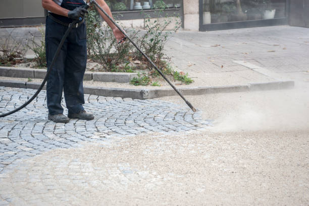Best Warehouse Cleaning  in Mayo, FL