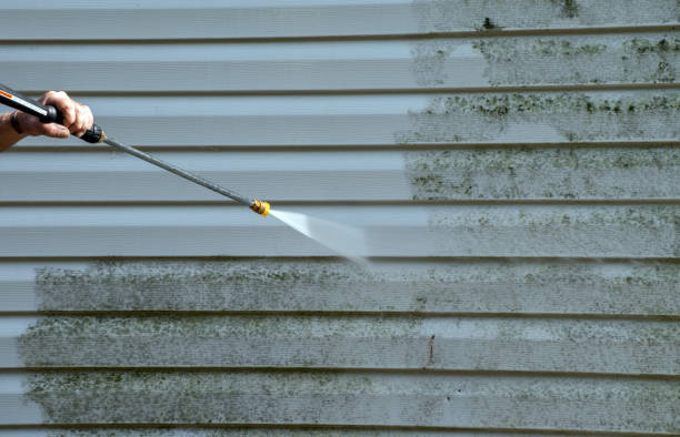 Best Patio and Deck Pressure Washing  in Mayo, FL